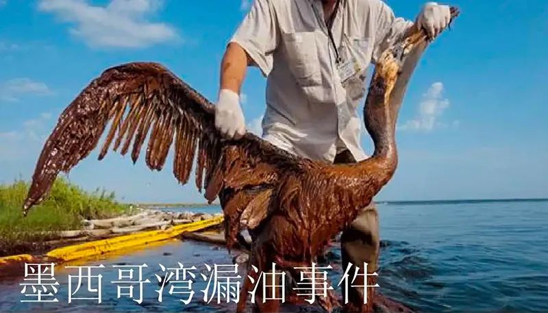被海上溢油“染黑”的海岸线乐虎lehu环保热解技术助力守护海洋生命线